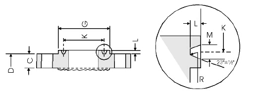 ASTM A105 RTJ Blind Flange, 2500LB, 10 Inch - Landee Flange